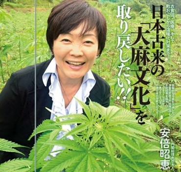 大麻草(マリファナ)はやはり危険だった - 筑波大が大麻の有害性を実証：コメント28