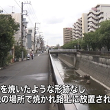 路上で焼け焦げた猫の死骸見つかる　東京・大田区