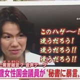 豊田真由子「このイケメンーー！違うだろー！」俺「「キキーッ（車を停める）」