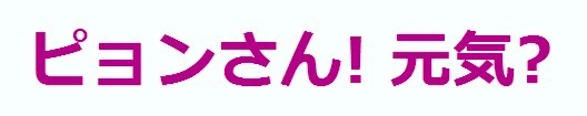 韓国ダイソー、日本のダイソーと名前が同じであるため日本企業ではないかと指摘され、疑惑を釈明。：コメント6