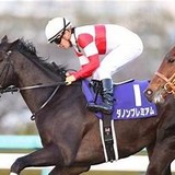 ダノンプレミアム無傷の4連勝