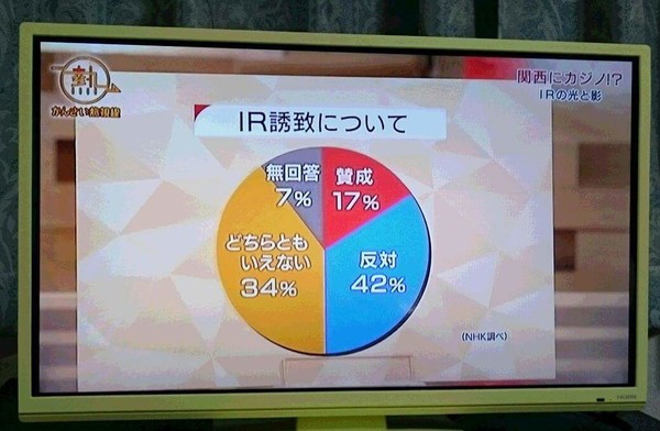 ギャンブル依存症防止へ 政府案“カジノ入場料2000円”：コメント29