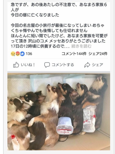 車内に犬6匹放置して全滅、人より熱中症になりやすいのに...「動物虐待」では？：コメント16