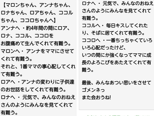 車内に犬6匹放置して全滅、人より熱中症になりやすいのに...「動物虐待」では？：コメント17