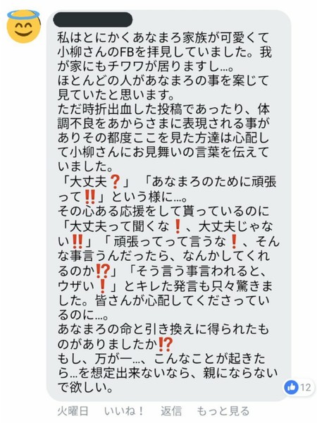 車内に犬6匹放置して全滅、人より熱中症になりやすいのに...「動物虐待」では？：コメント19