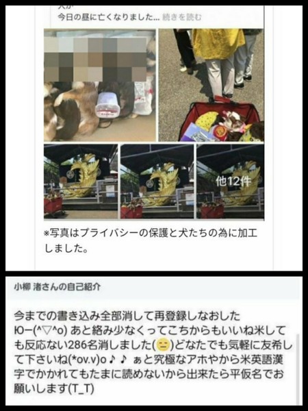 車内に犬6匹放置して全滅、人より熱中症になりやすいのに...「動物虐待」では？：コメント42