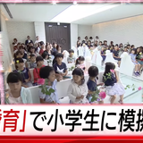 【炎上】小学生に婚育プログラム、結婚率が過去最低だから