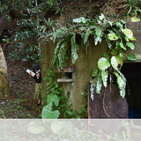 精神障害者を小屋に閉じ込め　闇に埋もれた「私宅監置」