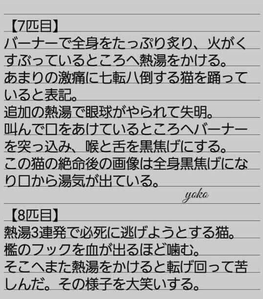  "猫島"の猫が大量死、疑惑の一家に話を聞いた：コメント38