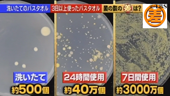 「バスタオル」何日使ったら洗う？ 毎日、3日、2週間…みんなの意見は!?：コメント62