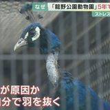 動物園で「5年間で動物47匹」が死亡　ストレスが原因か…クジャクも羽を自ら抜いてしまうほど