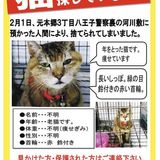 八王子署、預かった迷い猫を「河川敷に放した」　保健所に連絡しないまま