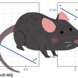 老化で精子の遺伝子制御が変化、子の神経発達障害リスクに 東北大